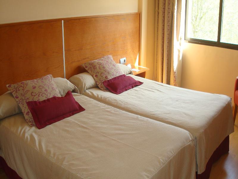 Hotel Alfonso Viii De